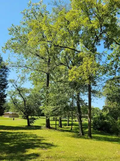 Hintermeister Park - West Carrollton, OH