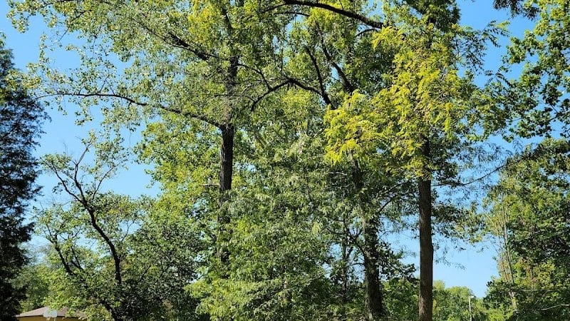 Hintermeister Park - West Carrollton, OH