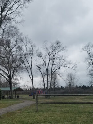 Leiwig Park