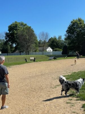 West Goshen Township Dog Park