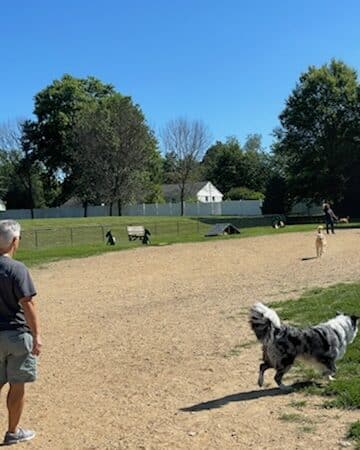West Goshen Township Dog Park - West Chester, PA