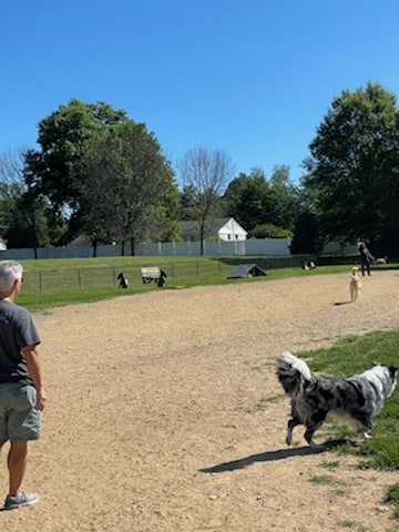 West Goshen Township Dog Park - West Chester, PA
