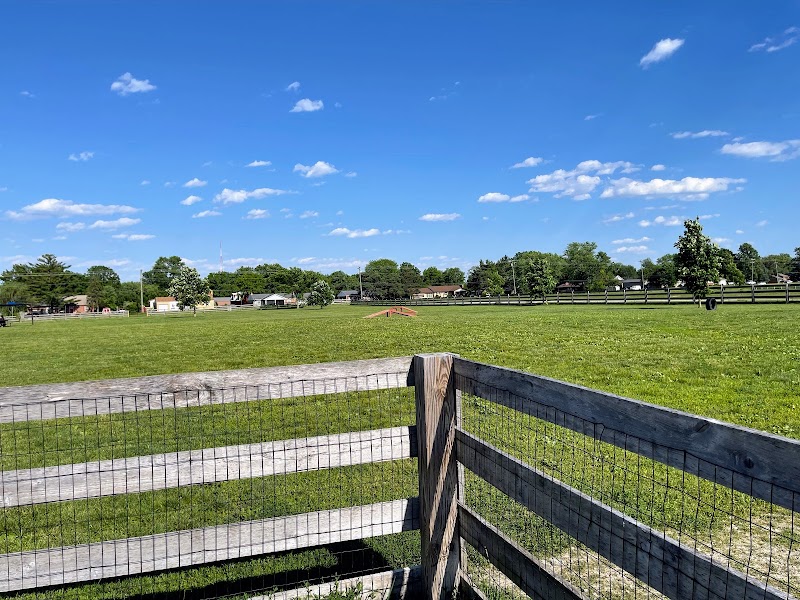 Wiggly Field Dog Park - West Chester Township, OH