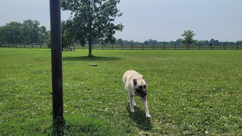 Wiggly Field Dog Park - West Chester Township, OH
