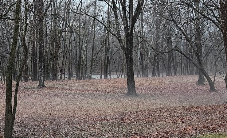 Jefferson Township Community Park and Fishing Access - West Jefferson, OH