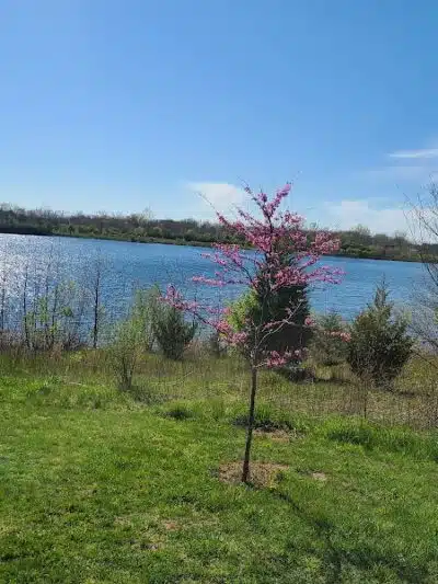 Prairie Oaks Hiking Trail - West Jefferson, OH