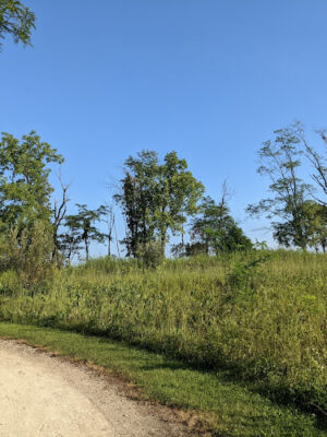 Prairie Oaks Hiking Trail