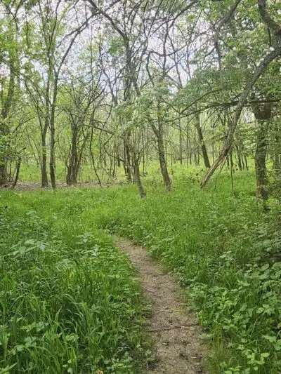 Prairie Oaks Hiking Trail - West Jefferson, OH