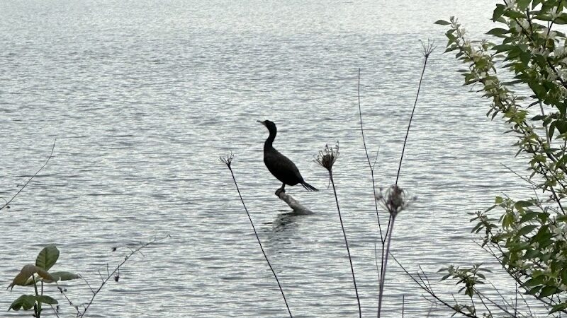 Prairie Oaks Hiking Trail - West Jefferson, OH