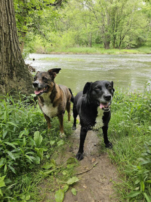 Prairie Oaks Metro Park