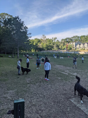 Happy Hollow Park Dog Park