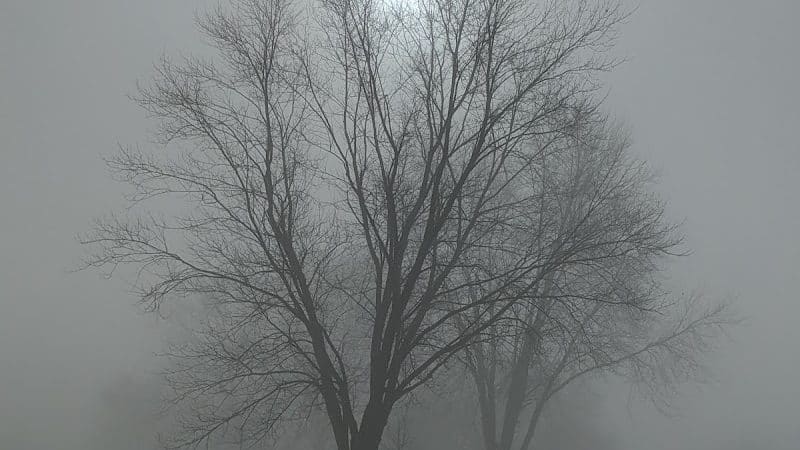 West Milton Municipal Park - West Milton, OH