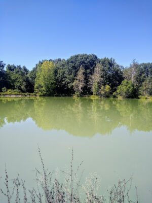 Drake Park