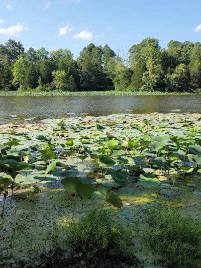 Adams Lake State Park - West Union, OH