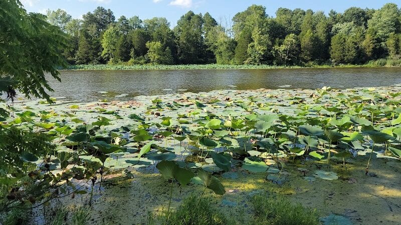 Adams Lake State Park - West Union, OH
