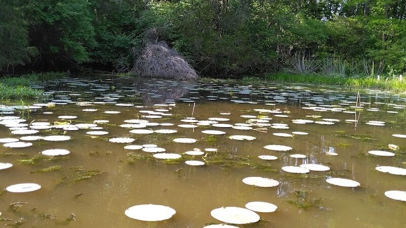 Adams Lake State Park - West Union, OH