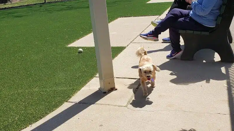 Eisenhower Dog Park - Westbury, NY