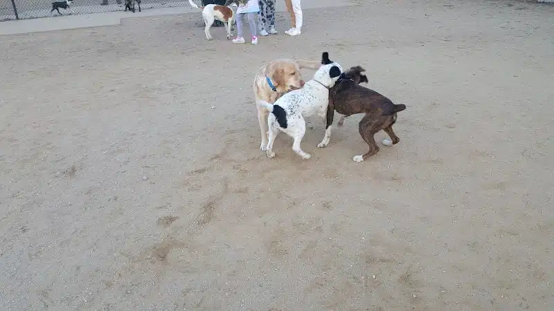 Eisenhower Dog Park - Westbury, NY