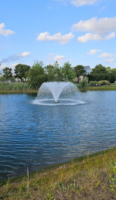 Albany Crossing Park