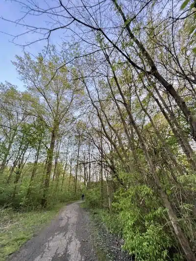 Lazelle Woods Park - Westerville, OH