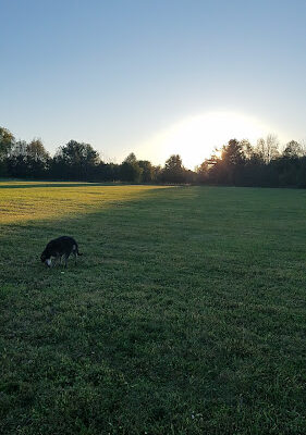 Parkhill Park