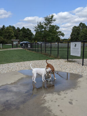 Rocky Fork Dog Park