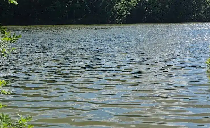 Walnut Bluffs Park - Westerville, OH