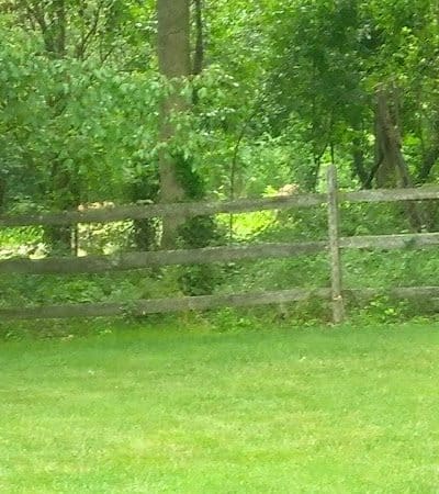 Westfield Center Village Park - Westfield Center, OH