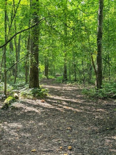 Bradley Woods Reservation - Westlake, OH
