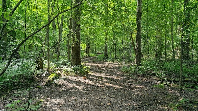 Bradley Woods Reservation - Westlake, OH