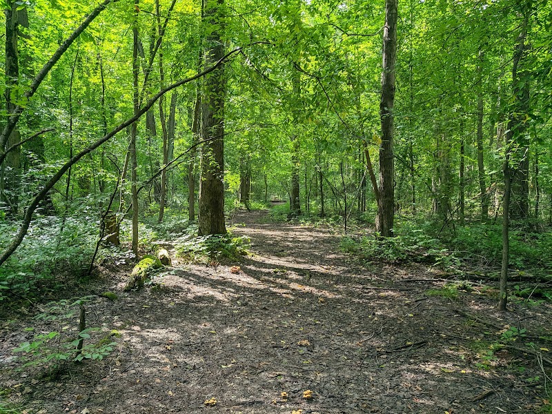 Bradley Woods Reservation - Westlake, OH