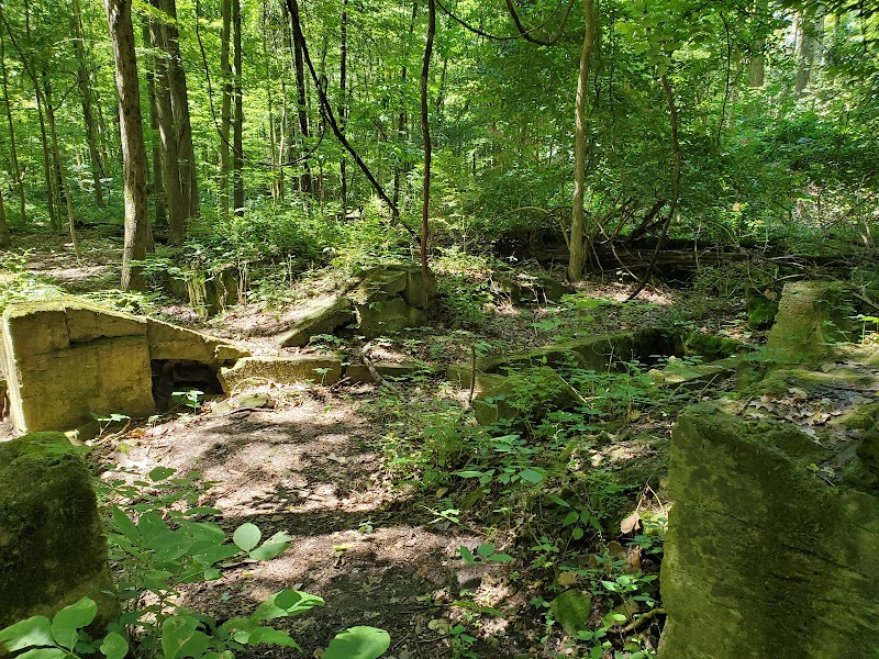 Bradley Woods Reservation - Westlake, OH