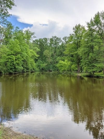 Bradley Woods Reservation - Westlake, OH