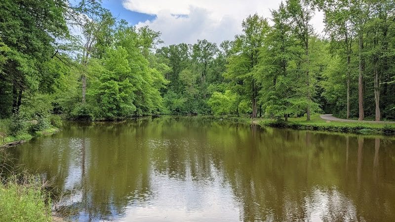 Bradley Woods Reservation - Westlake, OH