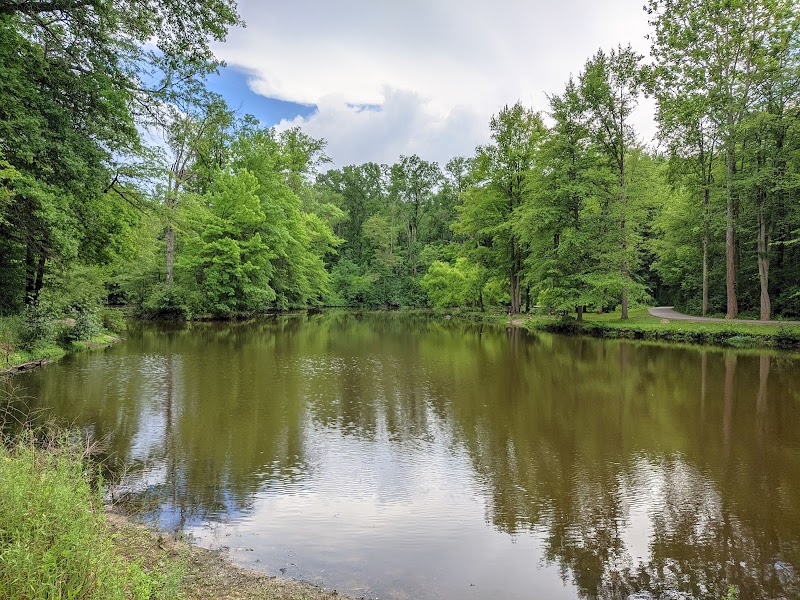 Bradley Woods Reservation - Westlake, OH