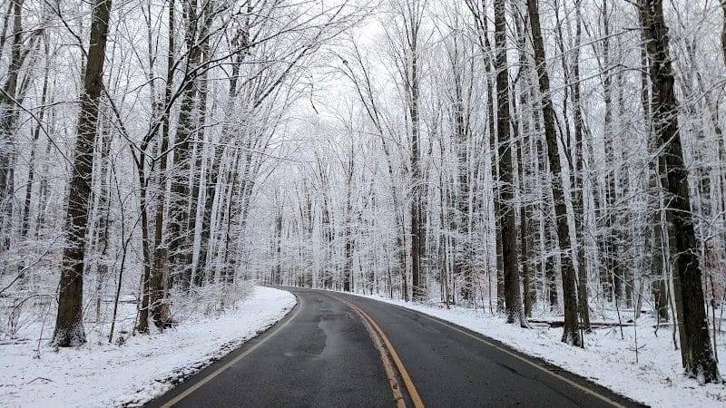 Bradley Woods Reservation - Westlake, OH