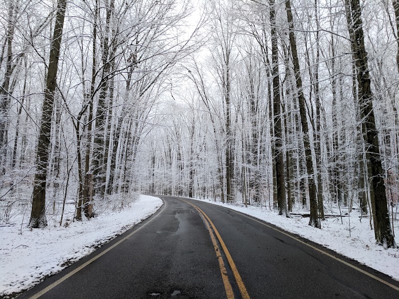 Bradley Woods Reservation - Westlake, OH