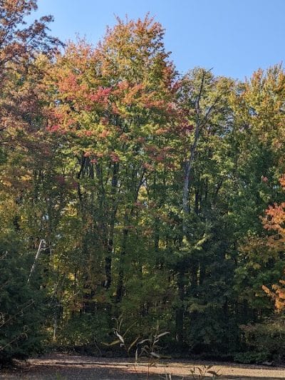 Bradley Woods Reservation - Westlake, OH