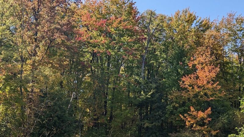 Bradley Woods Reservation - Westlake, OH