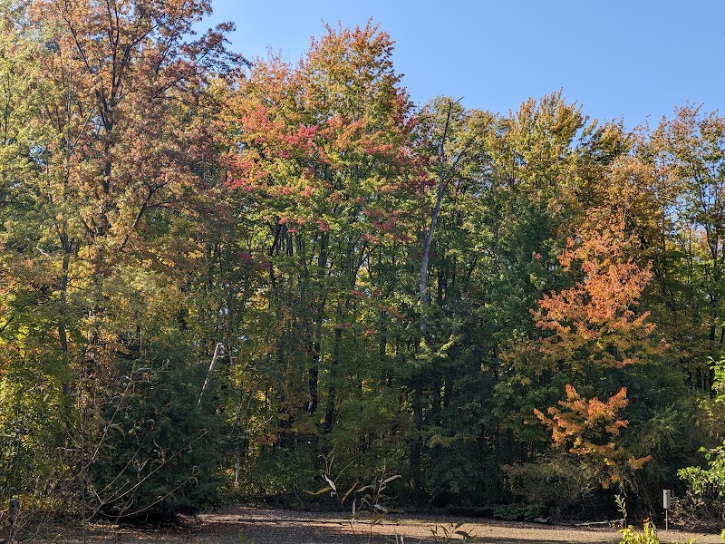 Bradley Woods Reservation - Westlake, OH