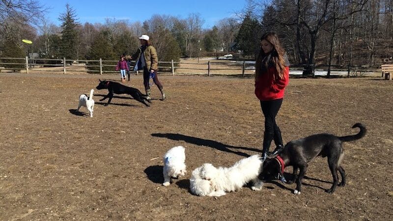 Winslow Park - Westport, CT