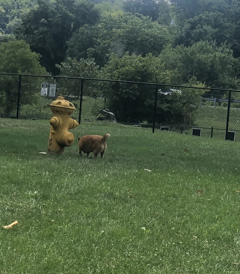 Fitzsimmons Family Garden Park Dog Park - Wheeling, WV
