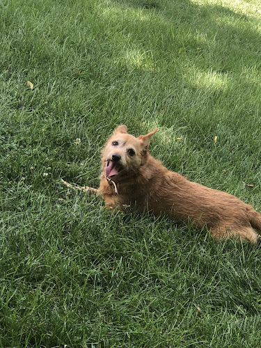 Fitzsimmons Family Garden Park Dog Park