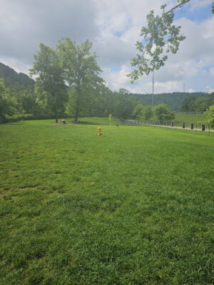 Fitzsimmons Family Dog Park