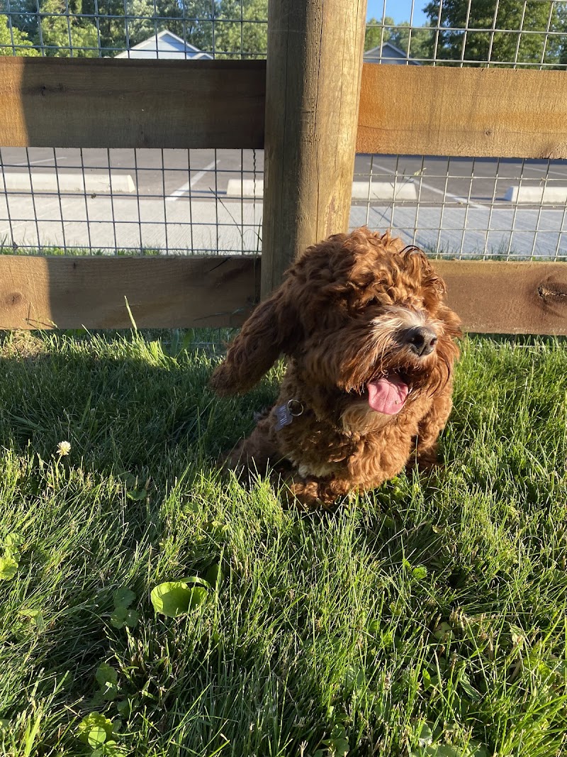 Central Bark Dog Park - Whitehall, OH