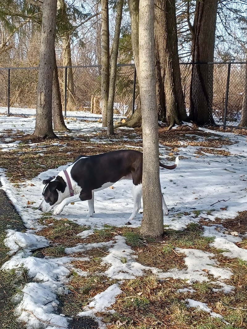 Central Bark Dog Park - Whitehall, OH