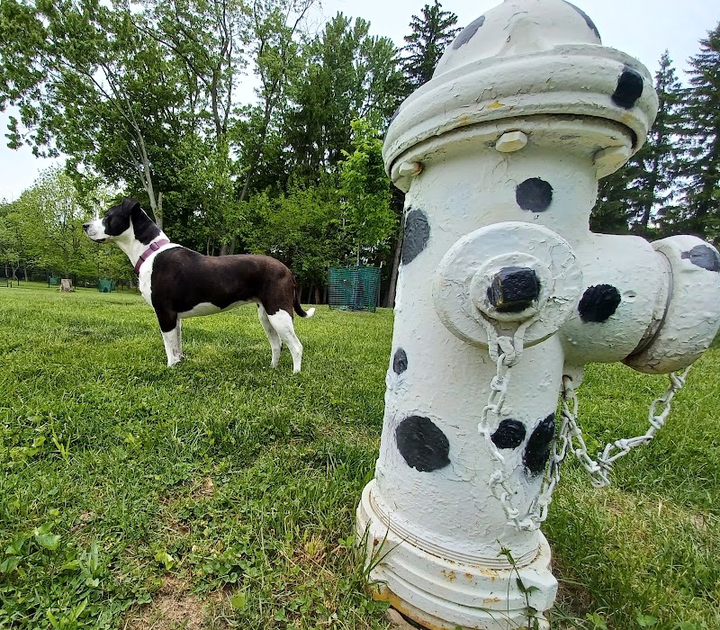 Central Bark Dog Park - Whitehall, OH