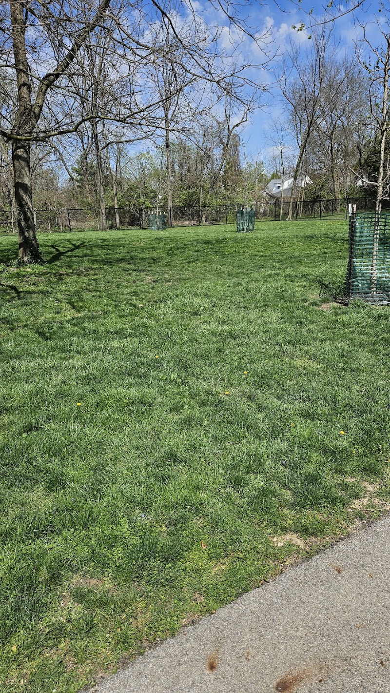 Central Bark Dog Park - Whitehall, OH