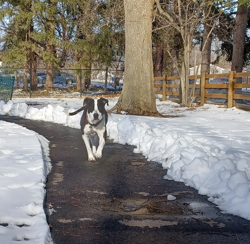 Central Bark Dog Park - Whitehall, OH