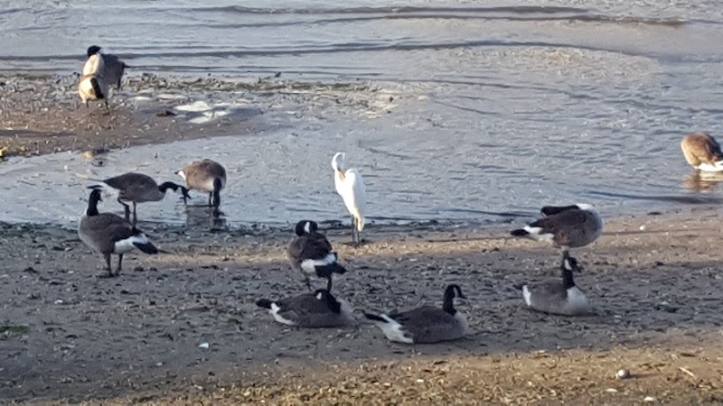 Little Bay Dog Run - Whitestone, NY